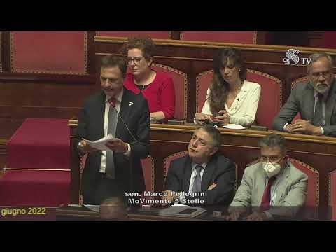 Intervento di Marco Pellegrini a seguito delle comunicazioni del presidente del Consiglio