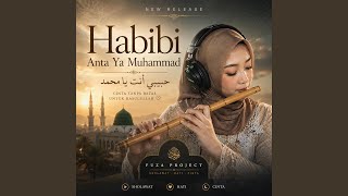 Download lagu Habibi Anta Ya Muhammad (Traditional Orchestra Ethnic) mp3