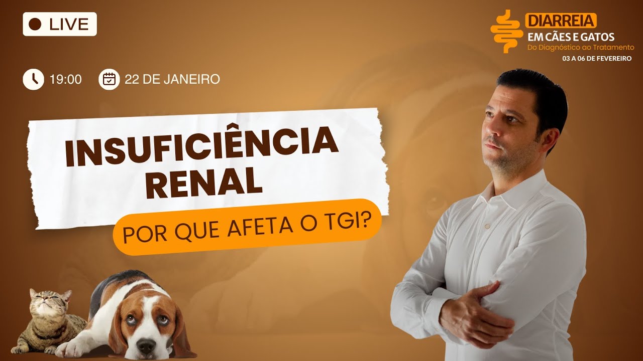 Insuficiência renal - por que afeta o TGI?