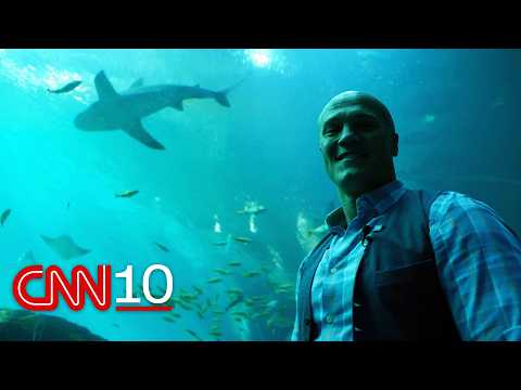 【CNN 10】特別報導：開箱全球最大水族館幕後秘辛！直擊佐治亞水族館：餵食巨大鯨鯊、珊瑚復育日常全公開 | 2026年10月2日（CNN10 Special Edition: Dive behind the scenes at one of the world's largest aquariums | October 2, 2026）