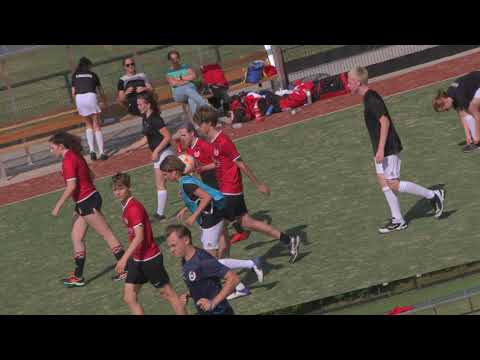 DSC A4 - Klimop A2 Goals