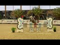 Top Poney de sport pour cso AS2/AS1