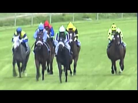 Irridescence Stakes (Listed) 2014