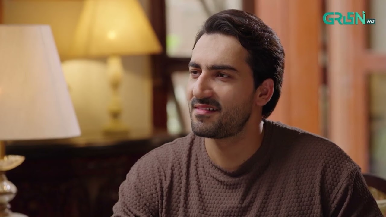 Aik Bhool Episode 33 | Best Scene 03 | Green TV Entertainment