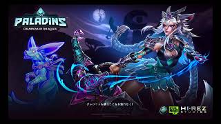 パラディンズ[Paladins]　カスタムやろうぜ！いろんな縛りで初心者関係なくごちゃまぜルールしましょー