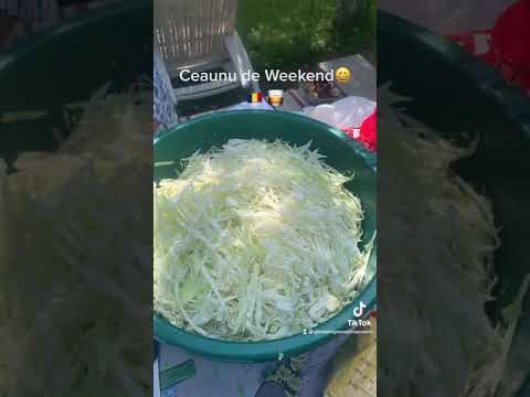 Distracție și relaxare in inima munților