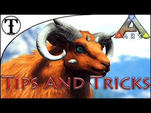 Fast Ovis(Sheep) Taming Guide : Ark : Survival Evolved Tips and Tricks