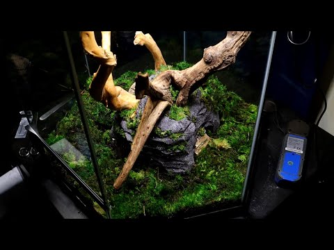 New orchid terrarium project Pt 2, November 27, 2025