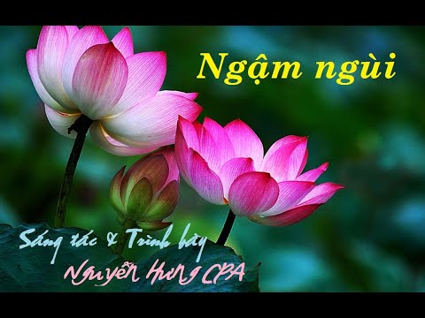 Ngậm ngùi - Nguyễn Hưng CPA