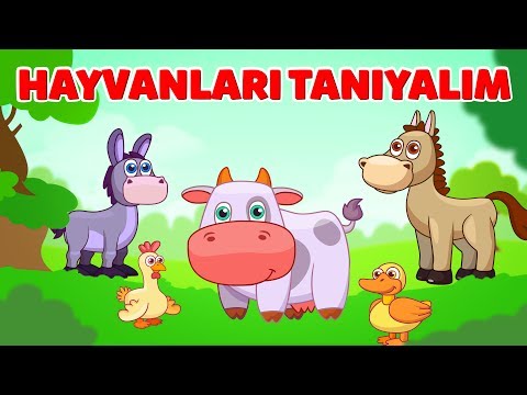 Hayvanları ve Seslerini Tanıyalım Bebek Şarkısı - Kırmızı Tren Kloppi Şarkıları