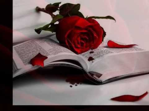 Gibonni - Zlatne Godine