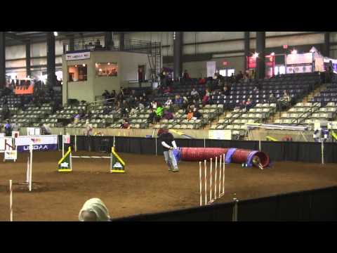 20131124 Cynosport Team Snooker