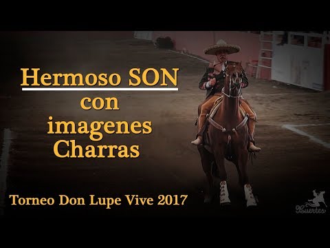 ¡Excelente Son de Banda! Don Lupe Vive 2017