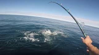 preview picture of video 'Maine Tuna Fishing September 23, 2018 (2 of 2) Last 10 Minutes.'