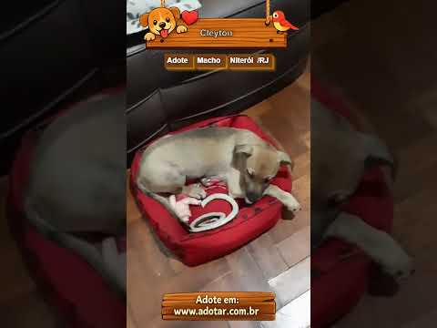 Vídeo de Cleyton