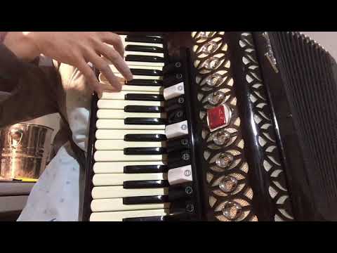 ”Подмосковные вечера“ аккордеон/”Moscow Nights“ accordion /akkordeon/“莫斯科郊外的晚上”手风琴