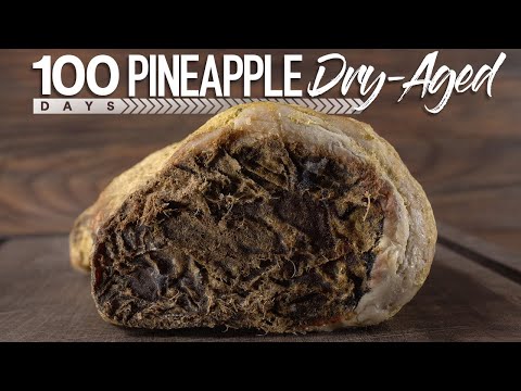 Can $1 Steak become FILET Mignon with Dry-Age!?