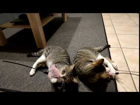 Xiaomi 10T Pro Clone Test