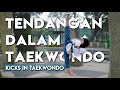 TENDANGAN DALAM TAEKWONDO Taekwondo Basics