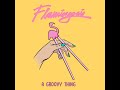 FLAMINGOSIS ~ A GROOVY THING  2017    FULL ALBUM