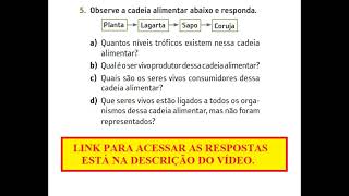 Observe A Cadeia Alimentar Abaixo E Responda