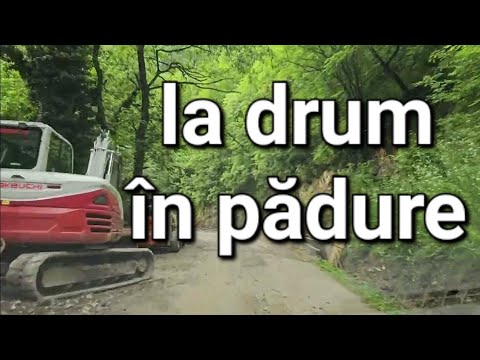 Drumul Govajdia - Runcu mare, ținutul Pădurenilor