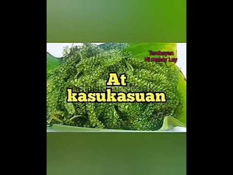 Pampatibay ng buto at iba pa