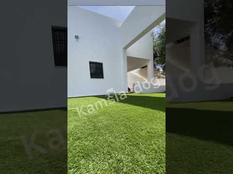Miniatura del vídeo del cachorro Pomerania