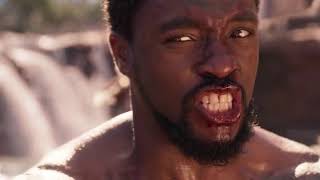 Black Panther Waterfall Fight Scene