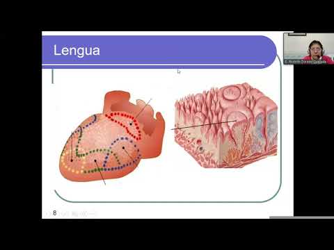 MOR112-B 05-07-21 ANATOMIA Y FISIOLOGIA