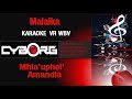 READ DESCRIPTION - Malaika   Mhla'uphel' Amandla   KARAOKE VR WBV