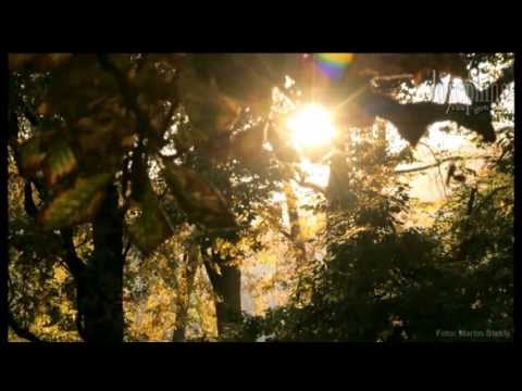 Josephine - JOSEPHINE Praha PODZIMNÍ