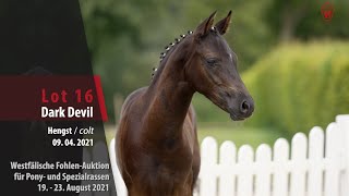 Video von Dark Devil