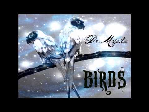 Birds - Dr. Majestic