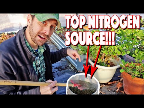 YouTube video about: Which soil component contributes the most nitrogen to plants?