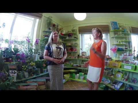 Хозяйка салона Фито декор Светлана Кайнова о цветочном бизнесе.