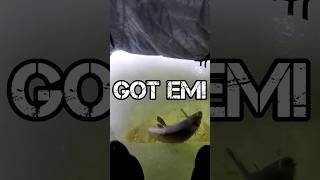 Only 3 Feet of WATER! 😱 #shorts