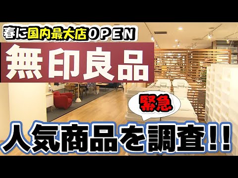[Apertura de la tienda más grande de Japón] ¡MUJI está de moda ahora mismo!