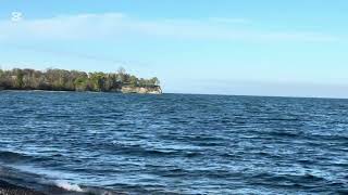 Ocean Waves Sound, Ocean Noise, Birds Chirpng for Relaxation, Calmness, and Deep Sleep at Night