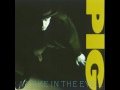 Pig A Poke In The Eye With A Sharp Stick 1988 Full Album