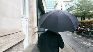 Відео огляд Жіноча парасолька-тростина Fulton Hampstead-1 L893 - Black (Чорний)