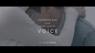 STANDING EGG - VOICE teaser