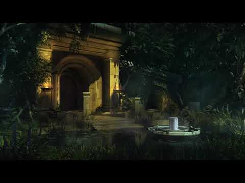 Forest Sounds at Night - Lake Water Sounds, Crickets, Frogs, Lily Pads, Pond Nature Sounds