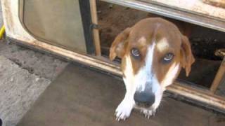 I Pray For You - John Rich