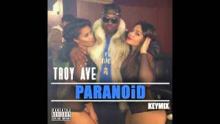Troy Ave   Paranoid (Keymix)
