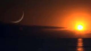 My Brightest Diamond - Gone Away