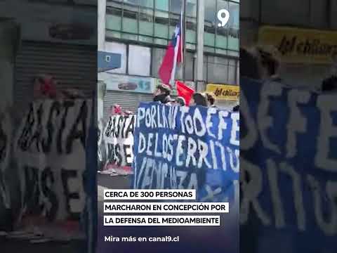 Cerca de 300 personas marcharon en Concepción por la defensa del medioambiente
