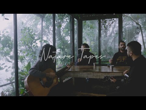 When We Feel Young (Nature Tapes)