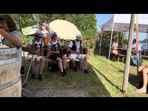 Schwyzerörgeli fête des vendanges Ligerz avec la Foulée folklorique