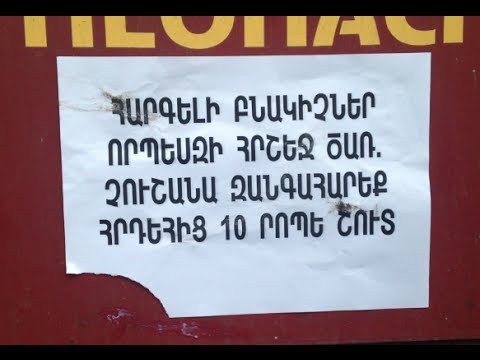 Vitamin Club 178 HD - Gor Barseghyan  iRakan nkarner 14